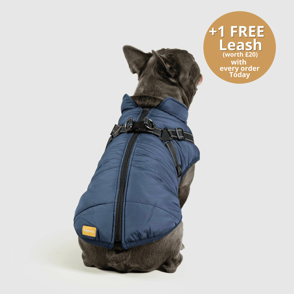 Dogcozzy™ 3 in 1 Winter Jacket