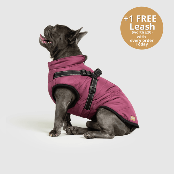 Dogcozzy™ 3 in 1 Winter Jacket