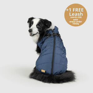 Dogcozzy™ 3 in 1 Winter Jacket