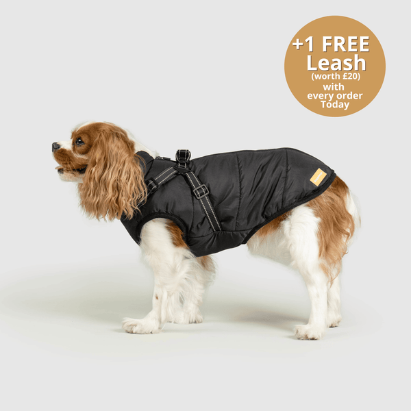 Dogcozzy™ 3 in 1 Winter Jacket