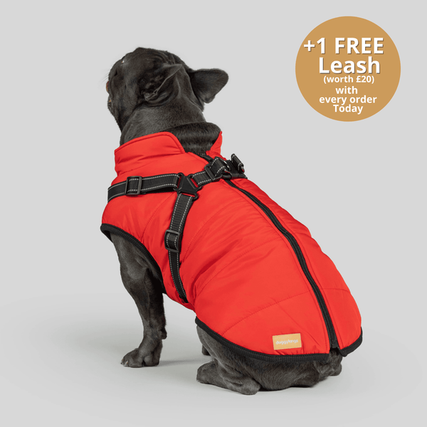 Dogcozzy™ 3 in 1 Winter Jacket